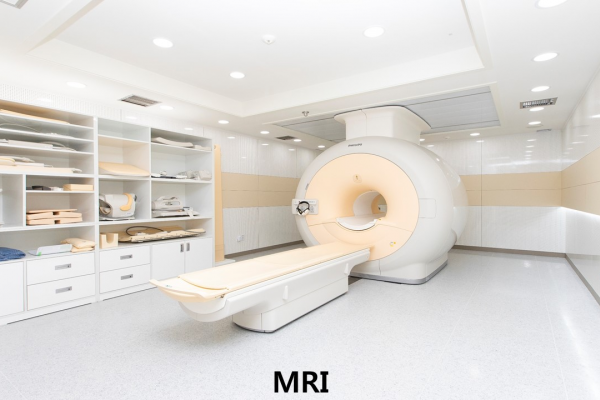MRI 사진